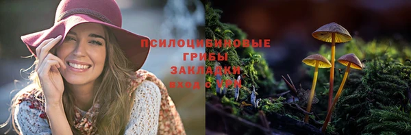 первитин Белоозёрский