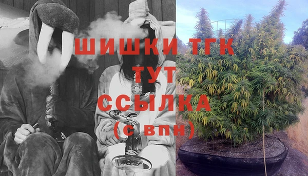 амф Белокуриха