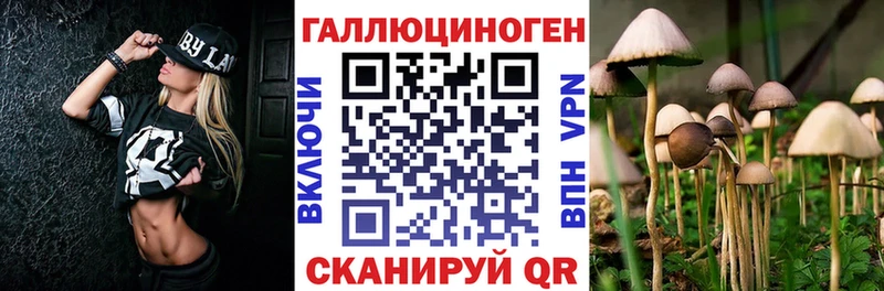 Псилоцибиновые грибы прущие грибы Высоковск